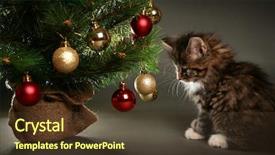  Presentation with christmas tree - Colorful PPT layouts enhanced with funny little cat and christmas backdrop and a tawny brown colored foreground