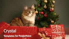  Presentation with funny animals - Colorful presentation enhanced with funny little cat and christmas backdrop and a  colored foreground