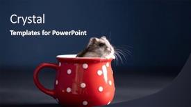  Presentation with good - Presentation design having funny-little-hamster background and a navy blue colored foreground