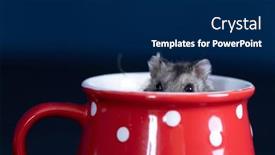  Presentation with good - Slide deck enhanced with funny-little-hamster background and a navy blue colored foreground