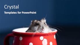  Presentation with good - PPT theme featuring funny-little-hamster background and a ocean colored foreground