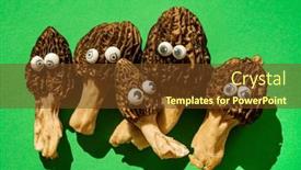  Presentation with bright - Presentation design featuring funny-morels-characters-on-bright background and a tawny brown colored foreground