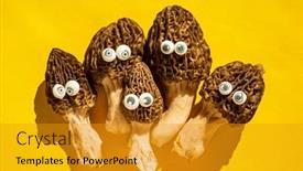  Presentation with bright - Slide deck consisting of funny-morels-characters-on-bright background and a gold colored foreground