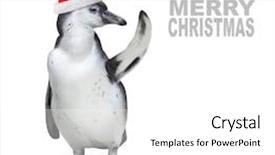  Presentation with santa - PPT theme featuring funny penguin with santa's background and a white colored foreground
