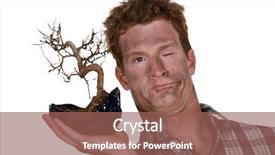  Presentation with bonsai - PPT theme consisting of funny picture of man holding background and a  colored foreground