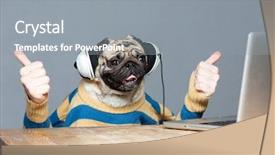  Presentation with funny - Audience pleasing PPT layouts consisting of funny pug dog with man backdrop and a gray colored foreground