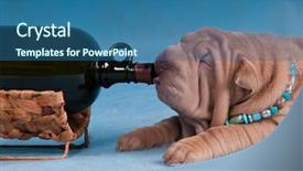  Presentation with bottle - Amazing slide deck having drinking wine from the bottle backdrop and a ocean colored foreground