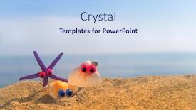  Presentation with sea shells - Audience pleasing presentation theme consisting of funny-shells-with-eyes backdrop and a sky blue colored foreground