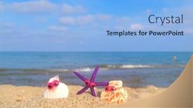  Presentation with sea shells - Audience pleasing presentation consisting of funny-shells-with-eyes backdrop and a light blue colored foreground