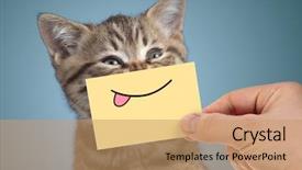  Presentation with tongue - Audience pleasing theme consisting of funny smile and tongue backdrop and a coral colored foreground