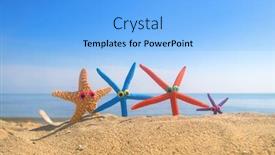  Presentation with fishes - Cool new slides with funny-star-fishes-with-eyes backdrop and a light blue colored foreground