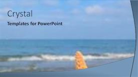  Presentation with fishes - Cool new slide set with funny-star-fishes-with-eyes backdrop and a light blue colored foreground