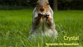  Presentation with route 66 - Slide set consisting of the beach running man and woman background and a gray colored foreground