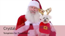  Presentation with santa claus holding scroll paper - PPT layouts enhanced with funny xmas - santa claus smiles as he background and a  colored foreground
