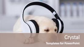  Presentation with puppy - Amazing theme having furry - sleepy cute labrador puppy dog backdrop and a coral colored foreground