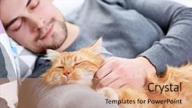  Presentation with sleeping - Colorful presentation theme enhanced with furry families - sleeping young man with fluffy backdrop and a coral colored foreground