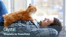  Presentation with cat and moon - PPT theme featuring furry families - young man with fluffy cat background and a ocean colored foreground