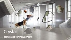  Presentation with dog - Theme enhanced with furry friends - funny dog friend mixed media background and a gray colored foreground