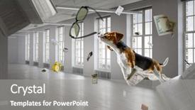  Presentation with dog - Amazing PPT theme having furry friends - funny dog friend mixed media backdrop and a gray colored foreground