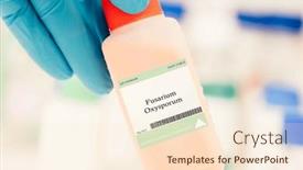  Presentation with enzymes - PPT theme with fusarium-oxysporum-fungus-used background and a cream colored foreground