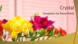  Presentation with blurred flowers - Presentation design with fuschia - beautiful bouquet of freesia flowers background and a lemonade colored foreground