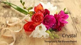  Presentation with rustic wood and flowers - PPT theme enhanced with fuschia - bouquet of beautiful freesia flowers background and a coral colored foreground