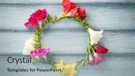  Presentation with frame - Slide deck with fuschia - frame made of beautiful freesia background and a light gray colored foreground