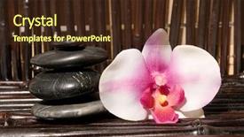  Presentation with bamboo flower - Slides enhanced with fuschia - massage stones and orchid flowers background and a  colored foreground