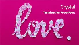  Presentation with fuschia pink - PPT theme consisting of fuschia - pink rose petals spelling background and a purple colored foreground
