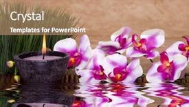  Presentation with alternative - Slide deck consisting of fuschia - spa candle orchid flowers background and a  colored foreground
