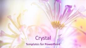  Presentation with flower border colorful made - Beautiful PPT theme featuring fut background - beautiful flowers made with color backdrop and a pink colored foreground