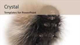  Presentation with caterpillar - PPT theme with composite image of businessman pushing away scene of stormy countryside background background and a gray colored foreground