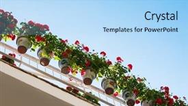  Presentation with flower pots - PPT theme having g many - beautiful flower pots hanging background and a light blue colored foreground