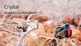  Presentation with north america - Beautiful slide deck featuring collaboration - business people working in office backdrop and a light gray colored foreground