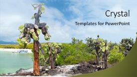  Presentation with cactus - Cool new PPT layouts with galapagos island of santa cruz backdrop and a light blue colored foreground