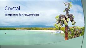  Presentation with cactus - PPT theme with galapagos island of santa cruz background and a sky blue colored foreground