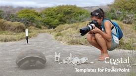  Presentation with wildlife goat - Presentation consisting of galapagos-islands-travel-experience-woman background and a gray colored foreground