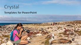  Presentation with sea animals - Presentation theme featuring galapagos-tourist-taking-pictures background and a light blue colored foreground