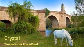  Presentation with white horse - Beautiful PPT layouts featuring galisteo bridge and white horse in caceres of extremadura spain by the via de la plata way backdrop and a tawny brown colored foreground