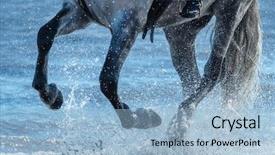  Presentation with sea water - PPT layouts consisting of galloping - grey horse run gallop background and a light blue colored foreground