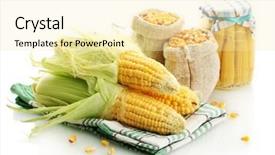  Presentation with paper bag vs plastic bags - Cool new PPT theme with galss - fresh corn and bags backdrop and a  colored foreground