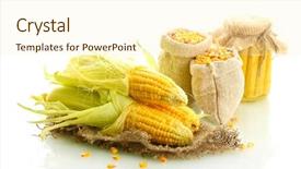  Presentation with paper bag vs plastic bags - Slides having galss - fresh corn and bags background and a  colored foreground