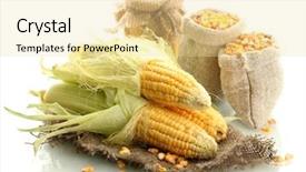  Presentation with paper bag vs plastic bags - PPT theme having galss - fresh corn and bags background and a  colored foreground