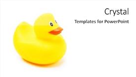  Presentation with rubber duck - Amazing theme having yellow rubber duck isolated backdrop and a white colored foreground