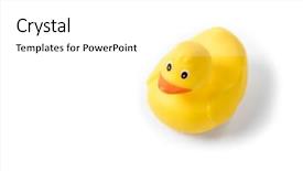  Presentation with rubber duck - Beautiful theme featuring yellow rubber duck isolated backdrop and a white colored foreground
