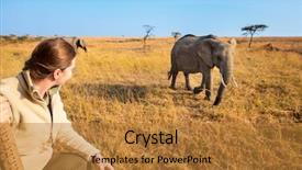  Presentation with africa safari - Amazing slides having game drive enjoying close encounter backdrop and a gold colored foreground