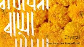  Presentation with ganesh chaturthi - Presentation theme consisting of ganapati-bappa-moraya-means-hey background and a  colored foreground