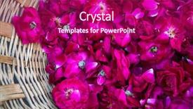  Presentation with varanasi - PPT layouts consisting of ganga river in varanasi india background and a violet colored foreground