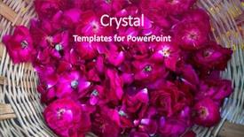  Presentation with ceremony - Presentation theme consisting of ganga river in varanasi india background and a violet colored foreground