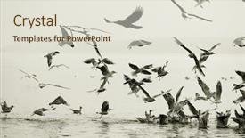  Presentation with india ganges - PPT theme consisting of ganges river at varanasi india background and a lemonade colored foreground